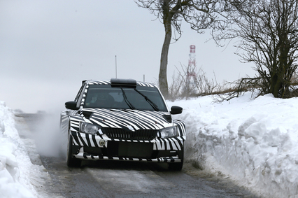 Jan Kopecky se muestra optimista al volante del Skoda Fabia R5