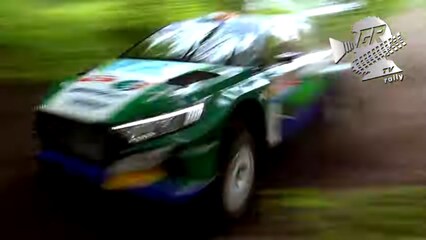 Vídeo: Imágenes espectaculares del shakedown del Rally de Polonia